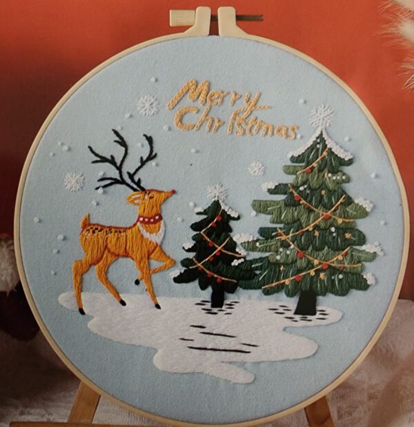 Christmas Embroidery Project - CX0841